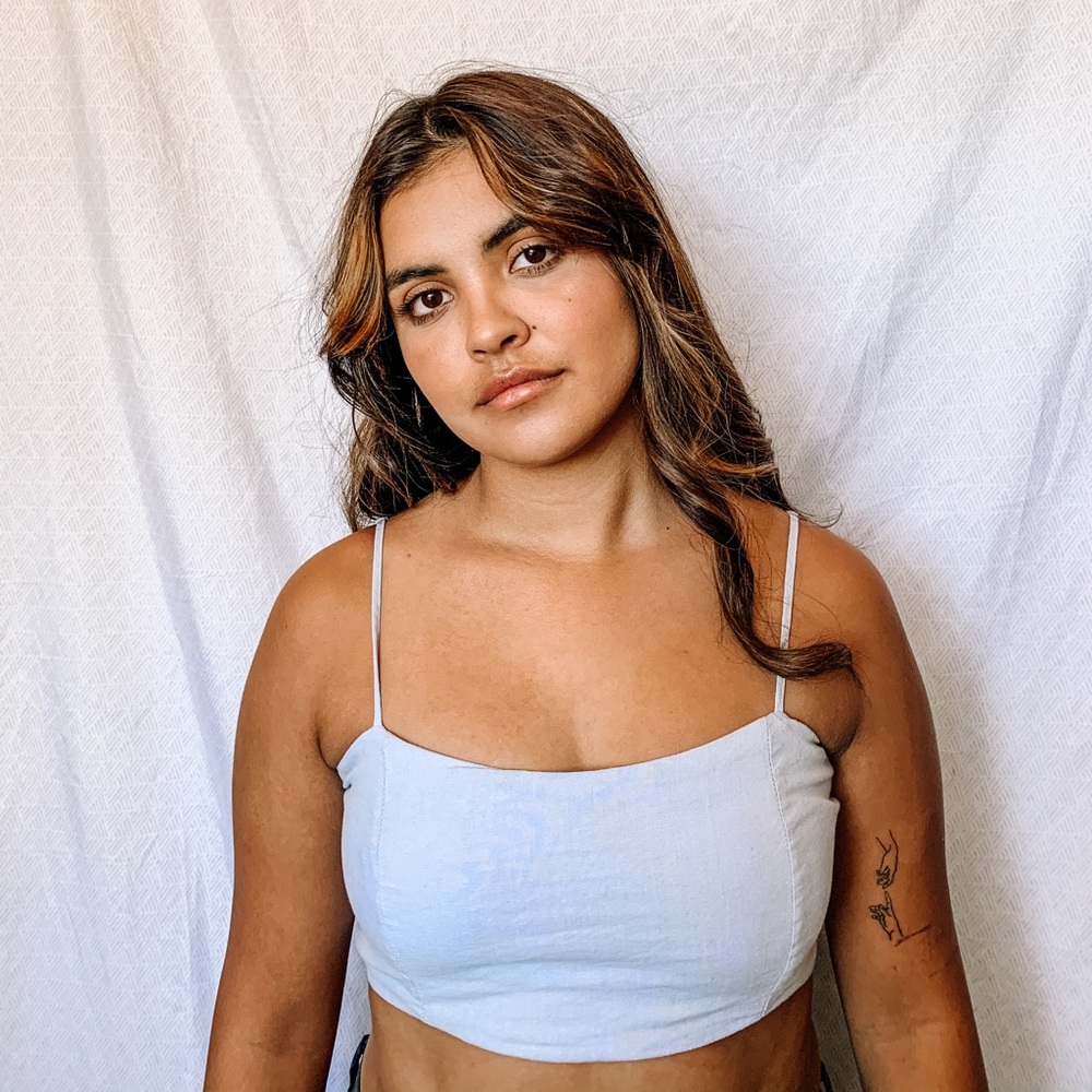 Brandy Melville Baby Blue Crop stop